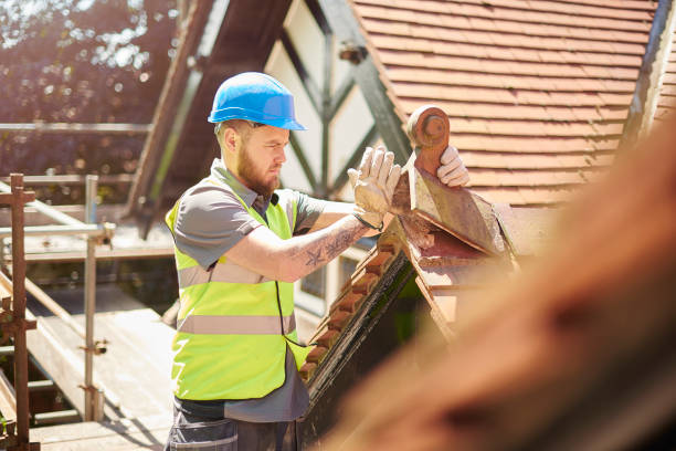 Best Roof Gutter Cleaning  in Markham, IL