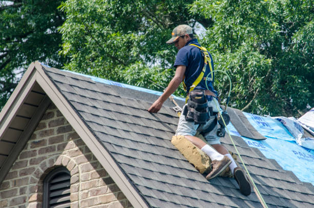 Best Roof Repair Services  in Markham, IL